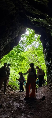image_1781662433367.jpg